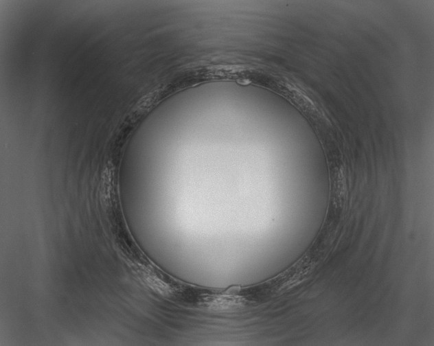 X0000082980463200702230038