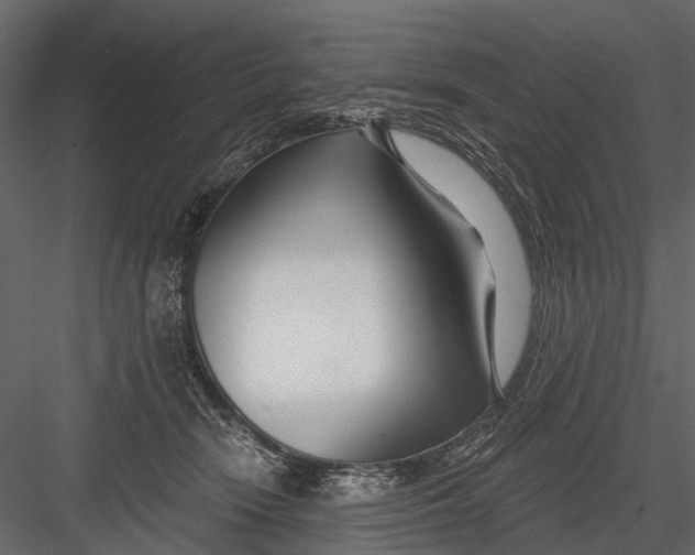 X0000082980466200702230038