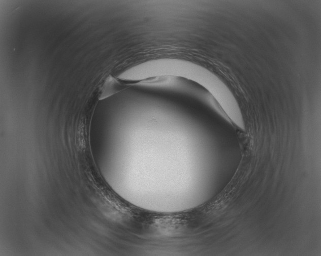 X0000082980470200702230038