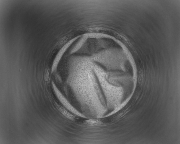 X0000082980477200702230038