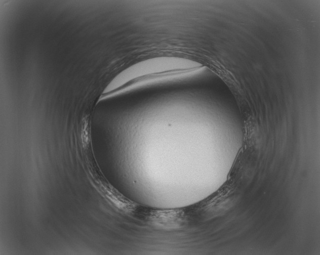 X0000082980479200702230038