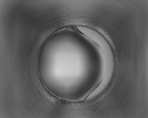 X0000082980481200702230037