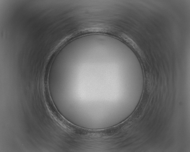 X0000082980482200702230037