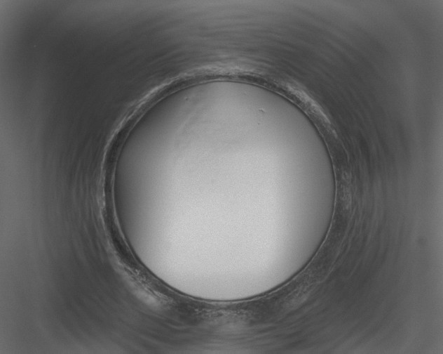 X0000082980486200702230037