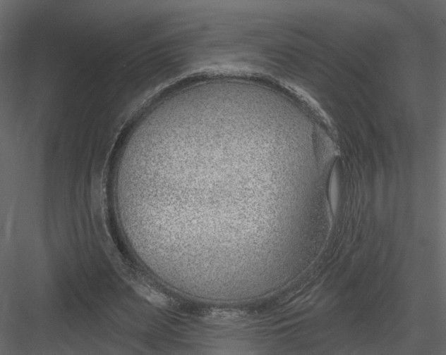 X0000082980487200702230037