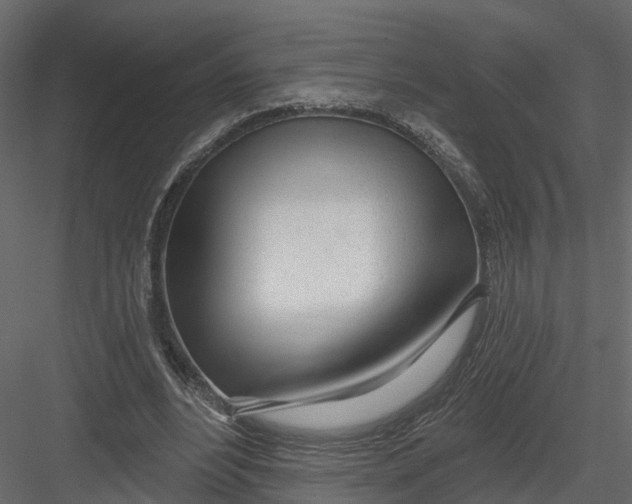 X0000082980488200702230037