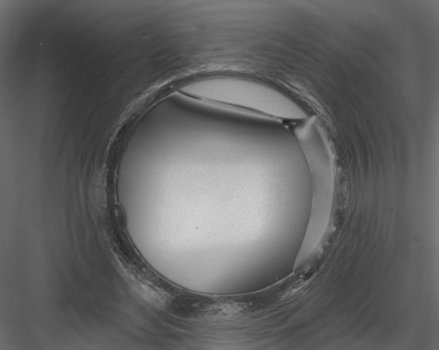 X0000082980492200702230037
