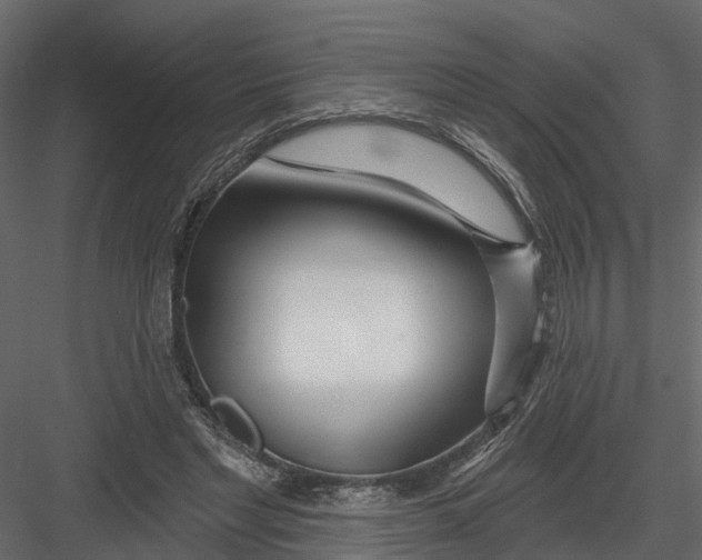 X0000082980493200702230037