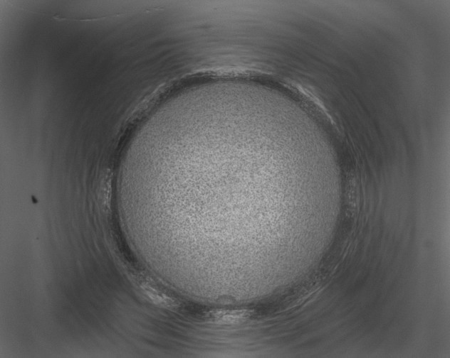 X0000082980495200702230037
