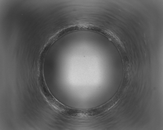 X0000082980496200702230037