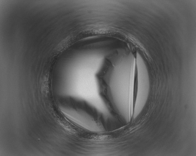 X0000082980497200702230037