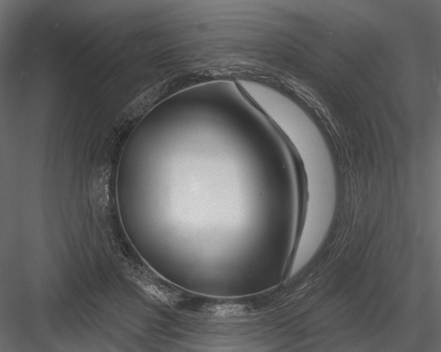 X0000082980501200702230037