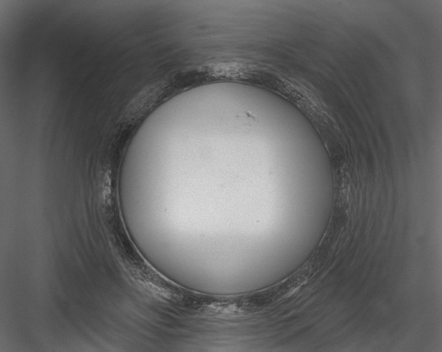 X0000082980502200702230037