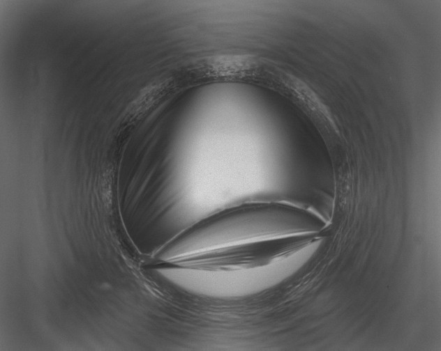 X0000082980505200702230037