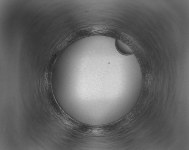 X0000082980506200702230037