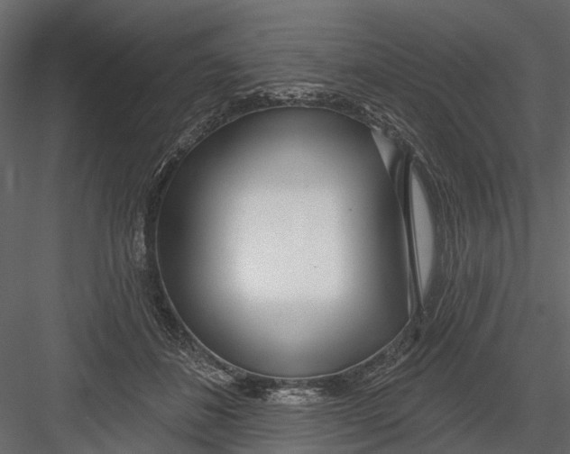 X0000082980508200702230037