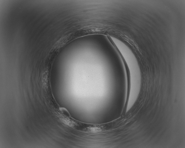 X0000082980509200702230037