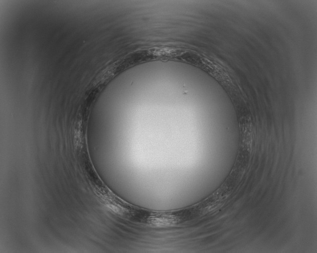 X0000082980510200702230037