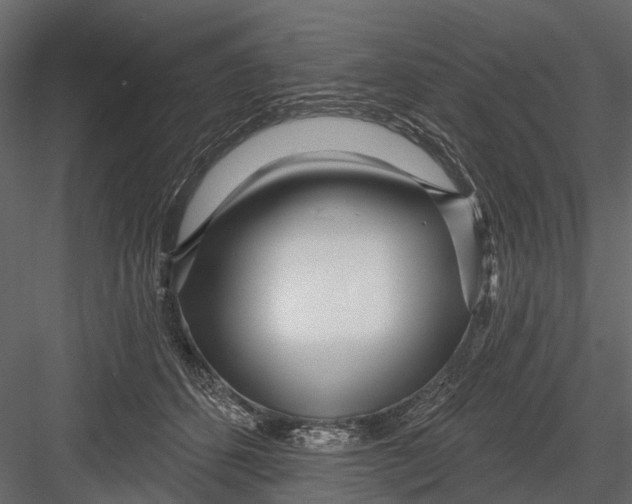 X0000082980512200702230037
