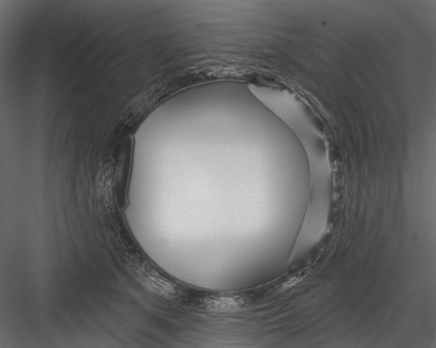 X0000082980513200702230037