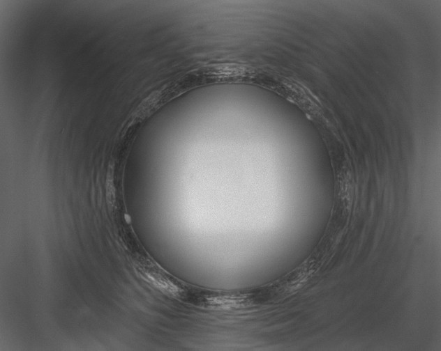 X0000082980516200702230037