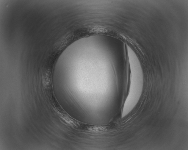 X0000082980517200702230037