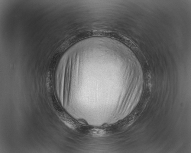 X0000082980519200702230037