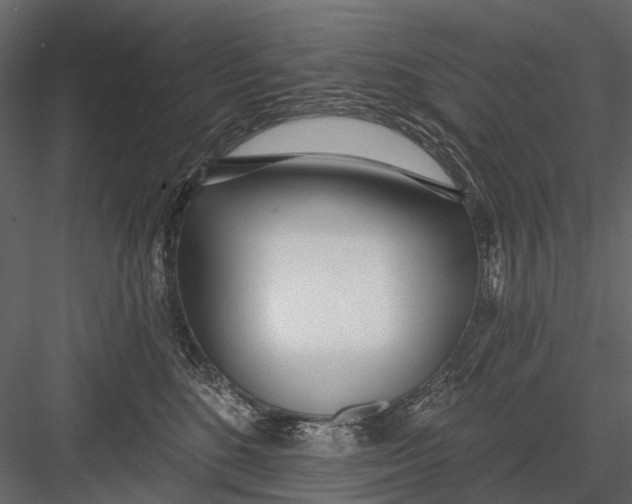 X0000082980520200702230037