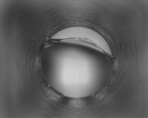 X0000082980521200702230037