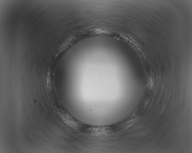 X0000082980524200702230037