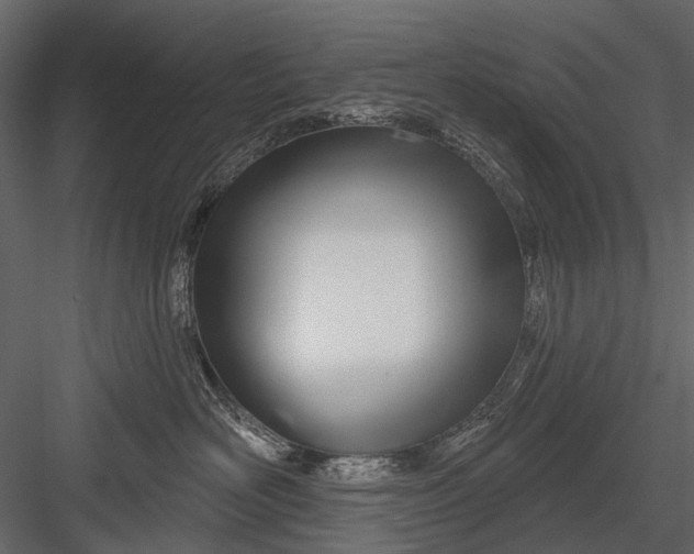 X0000082980526200702230037