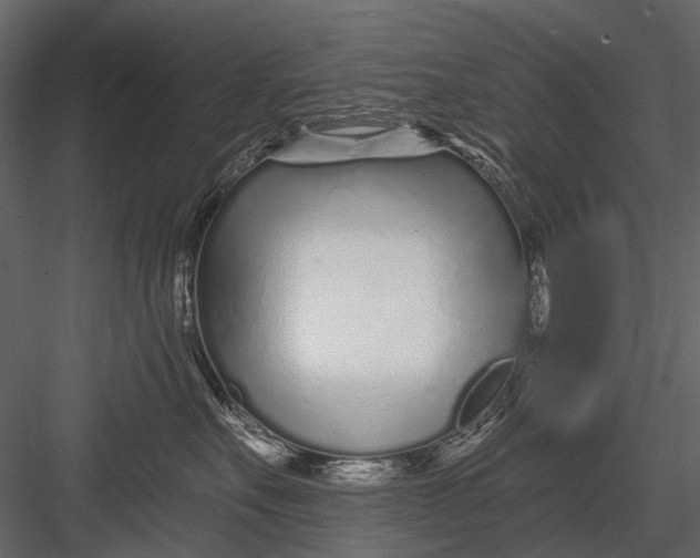X0000082980527200702230037