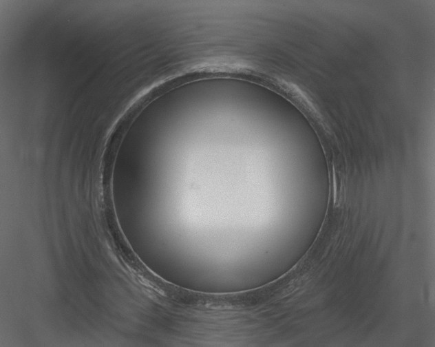 X0000082980531200702230036