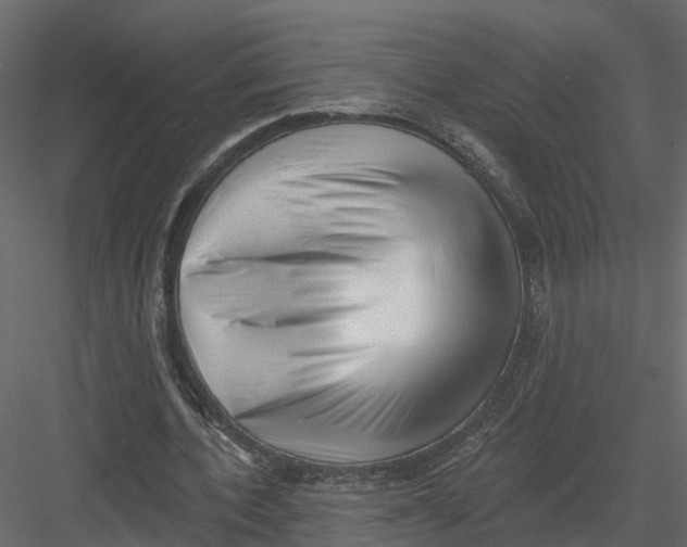 X0000082980532200702230036