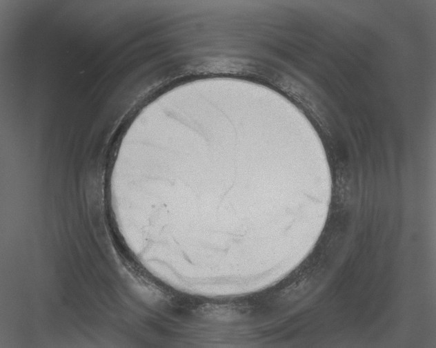 X0000082980534200702230036