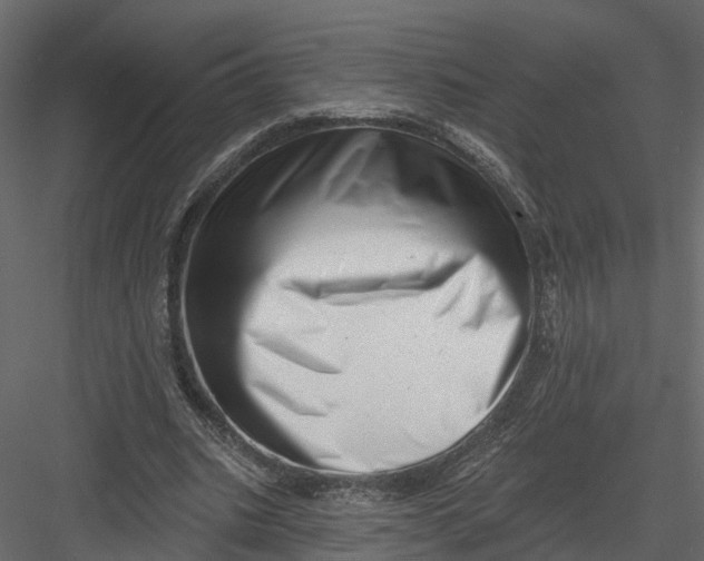X0000082980535200702230036