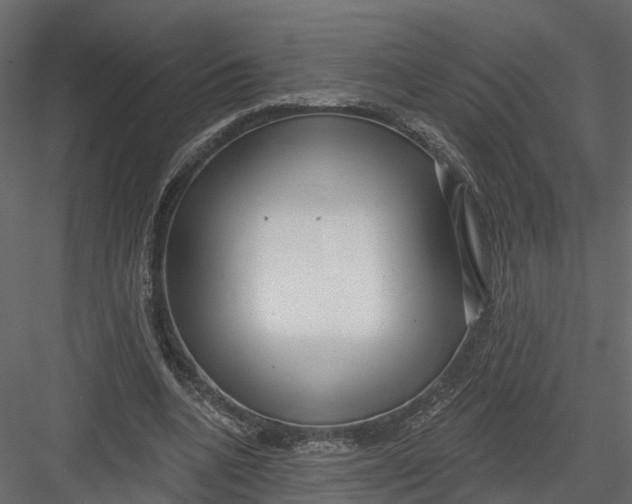 X0000082980536200702230036