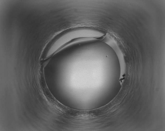 X0000082980540200702230036
