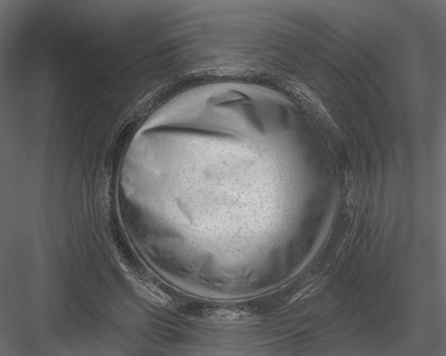 X0000082980542200702230036