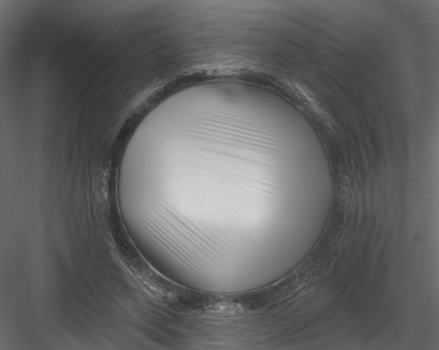 X0000082980543200702230036
