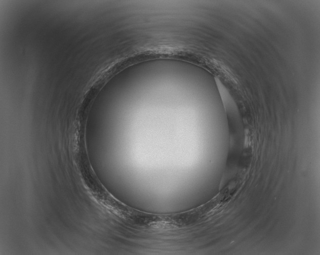 X0000082980544200702230036