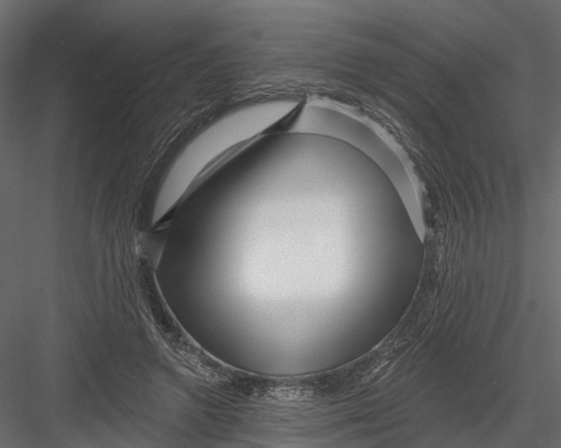 X0000082980546200702230036