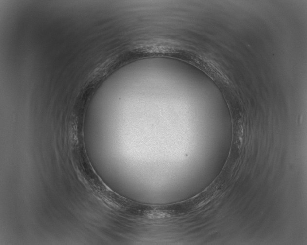 X0000082980547200702230036