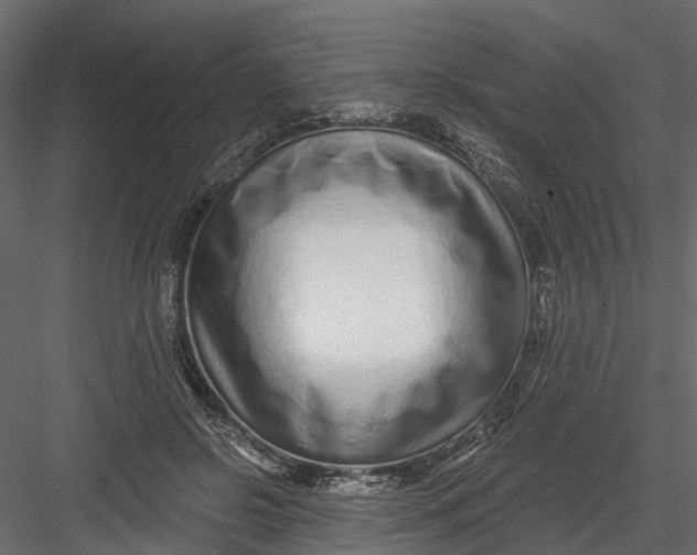 X0000082980550200702230036