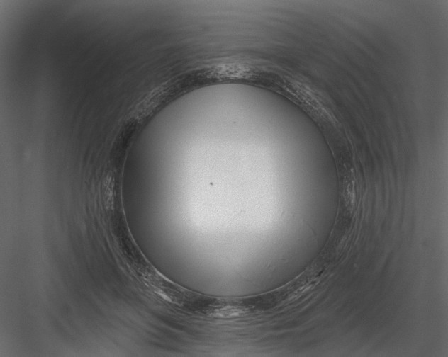 X0000082980551200702230036