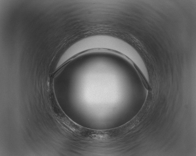 X0000082980552200702230036