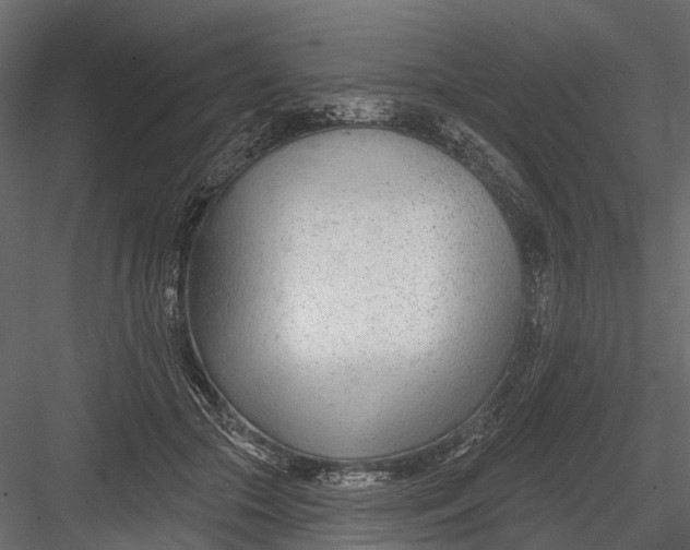 X0000082980553200702230036