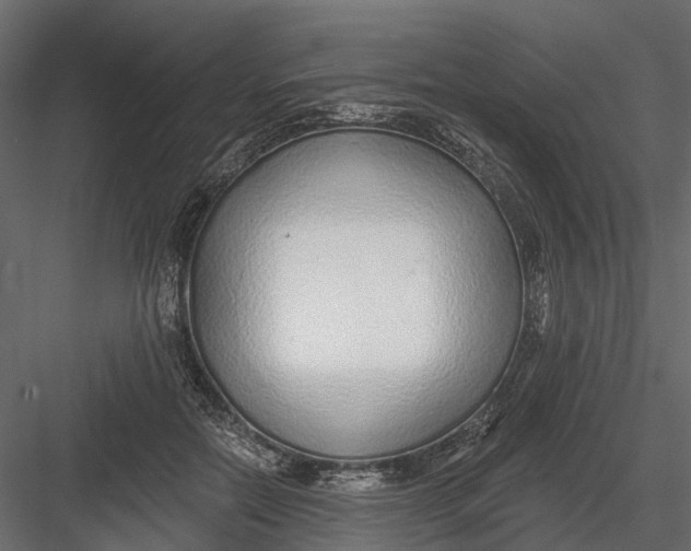 X0000082980554200702230036