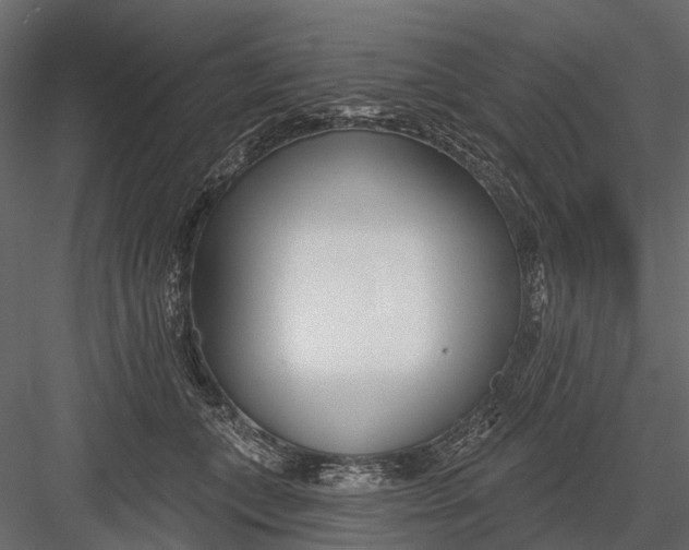 X0000082980559200702230036