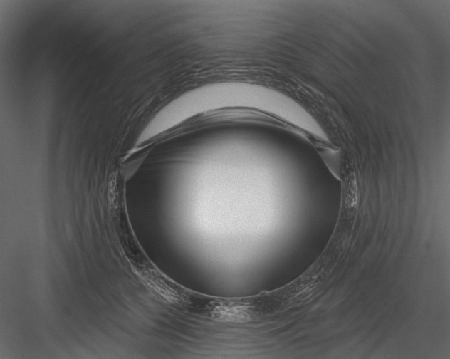 X0000082980560200702230036